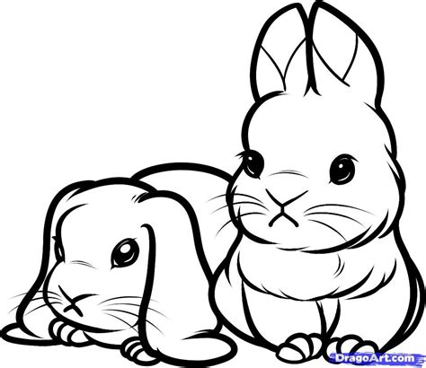 Bunny Drawing Printable